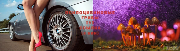 ECSTASY Новодвинск