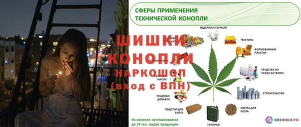 ECSTASY Новодвинск