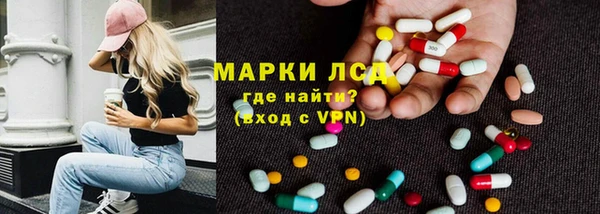 ECSTASY Новодвинск