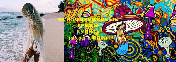 ECSTASY Новодвинск