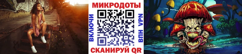 хочу наркоту  Приозерск  Галлюциногенные грибы Cubensis 